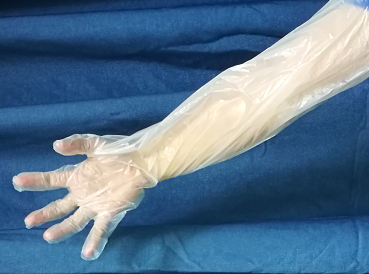 Biodegradable glove used for artificial insemination (2)